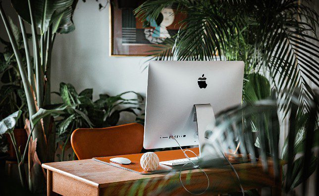 Greenery in office space 