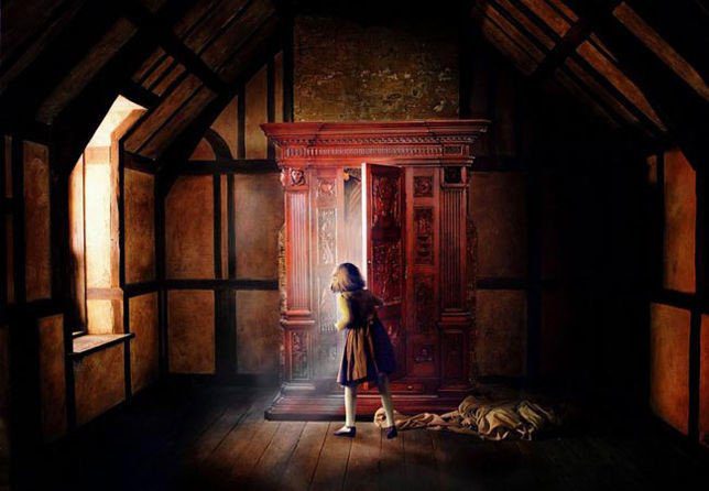 Narnia - wardrobe door