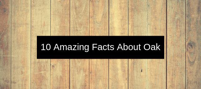 Facts about Oak