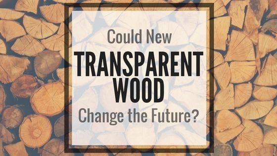Is transparent wood the future?