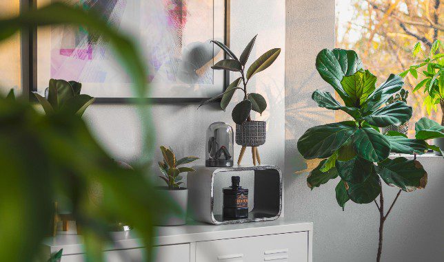 Plant life